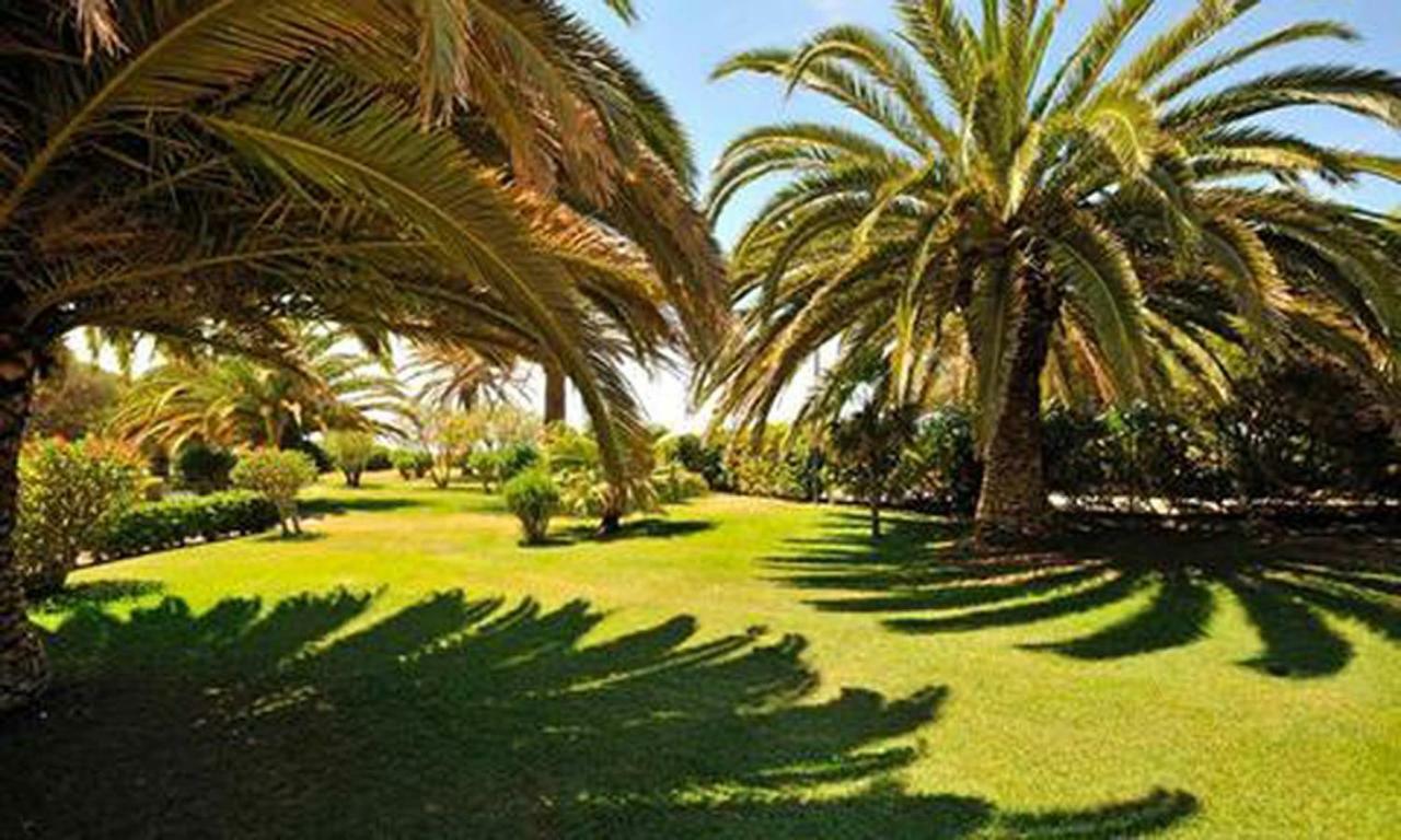 Torralta Alvor Beach 601 Exterior foto